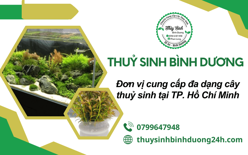 cây thuỷ sinh