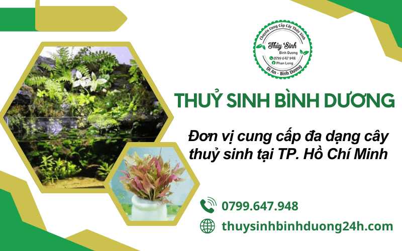 cây thuỷ sinh